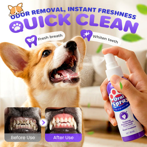 🔥2026 New Arrivals: 50% Off for a Limited Time!🔥Teeth Cleaning Spray for Pets